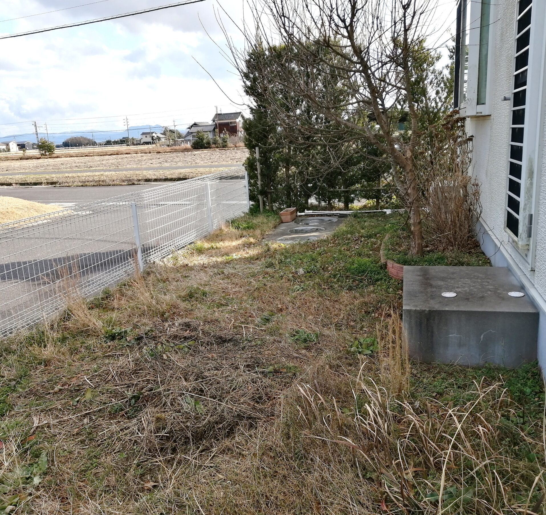 出雲市 外構リフォーム 雑草が茂った庭の施工前の様子